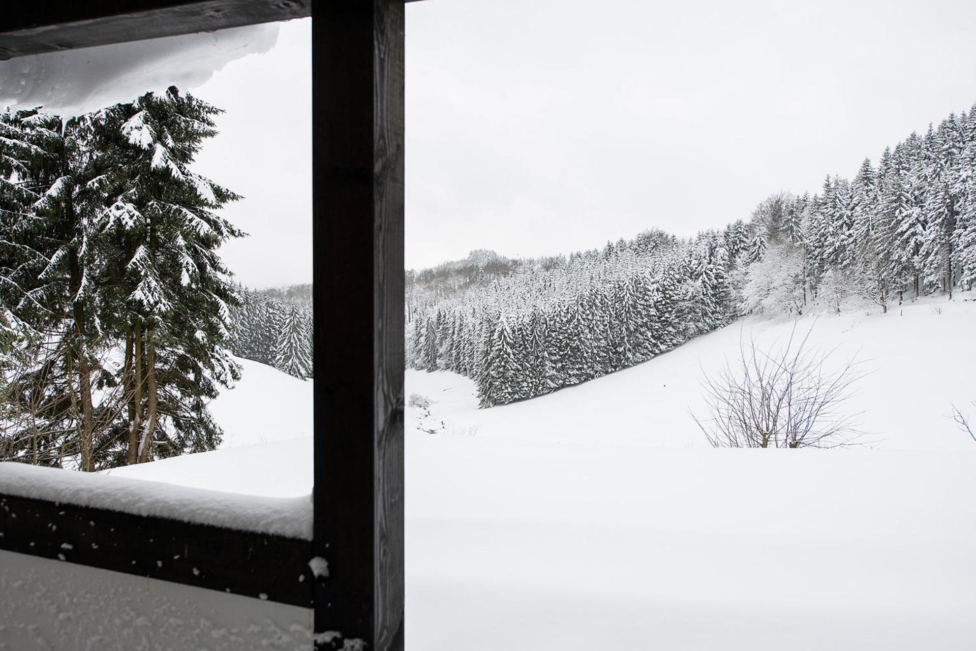 Romantikhuette Neuastenberg Winterberg Exterior photo